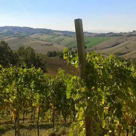 Gospodarstwo agroturystyczne Le Vigne *