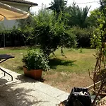 Le Vigne *