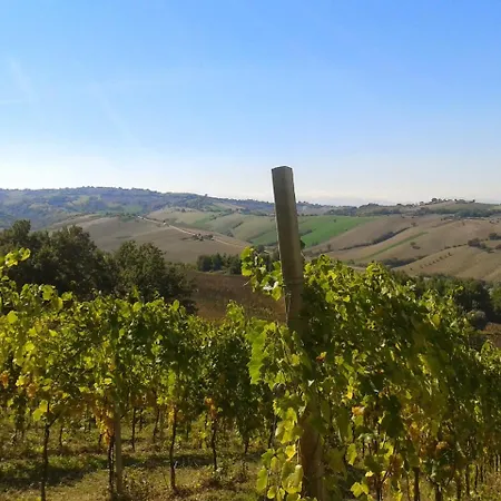 Le Vigne Bauernhof *